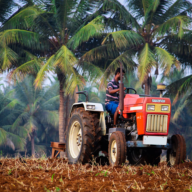 Farmer
